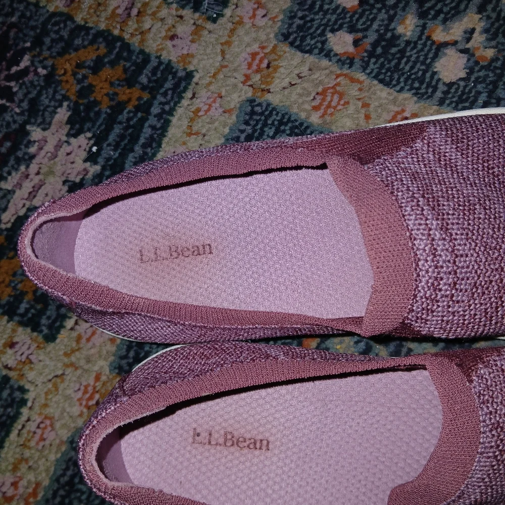 L.L. Bean bean exo
